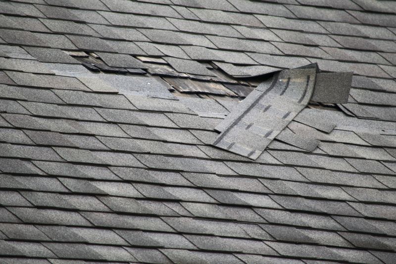 Roof Repair in Spring